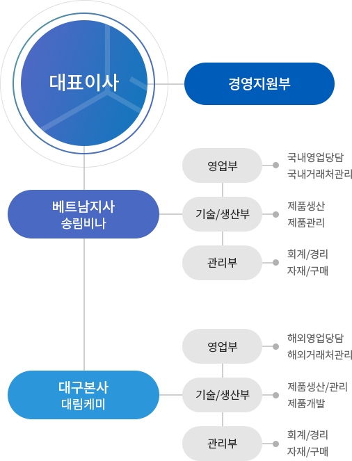 대표이사ceo, 경영지원부, 대구본사 대림화학:영업부(국내영업담당, 국내거래처관리)/기술및생산부(제품생산, 제품관리)/관리부(회계몇경리, 자재및구매), 베트남지사 송림비사:영업부(해외영업담당, 해외거래처관리)/기술및생산부(제품생산및관리, 제품개발)/관리부(회계몇경리, 자재및구매)