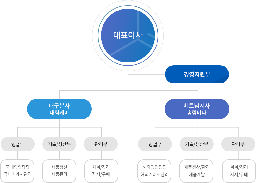 대표이사ceo, 경영지원부, 대구본사 대림화학:영업부(국내영업담당, 국내거래처관리)/기술및생산부(제품생산, 제품관리)/관리부(회계몇경리, 자재및구매), 베트남지사 송림비사:영업부(해외영업담당, 해외거래처관리)/기술및생산부(제품생산및관리, 제품개발)/관리부(회계몇경리, 자재및구매)