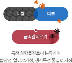 니켈은 특정 화학물질로써 분류하여 발암성, 알레르기성, 생식독성 물질로 지정됨, 니켈+피부=금속알레르기유발