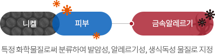 니켈은 특정 화학물질로써 분류하여 발암성, 알레르기성, 생식독성 물질로 지정됨, 니켈+피부=금속알레르기유발